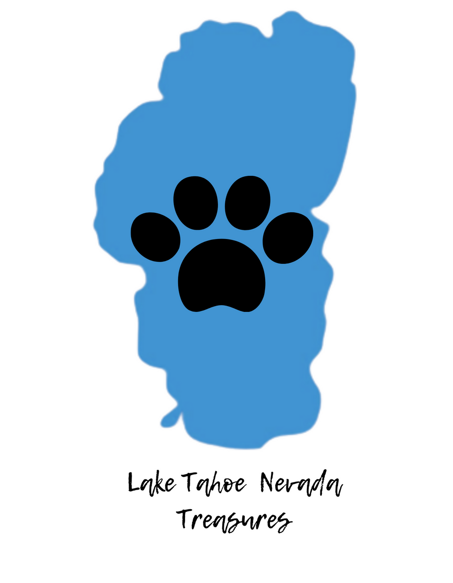 Dog Lick Mat – Tahoe Nevada Treasures